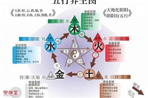 五行水旺缺火|八字五行水太旺怎么化解 命局水太旺了怎么办